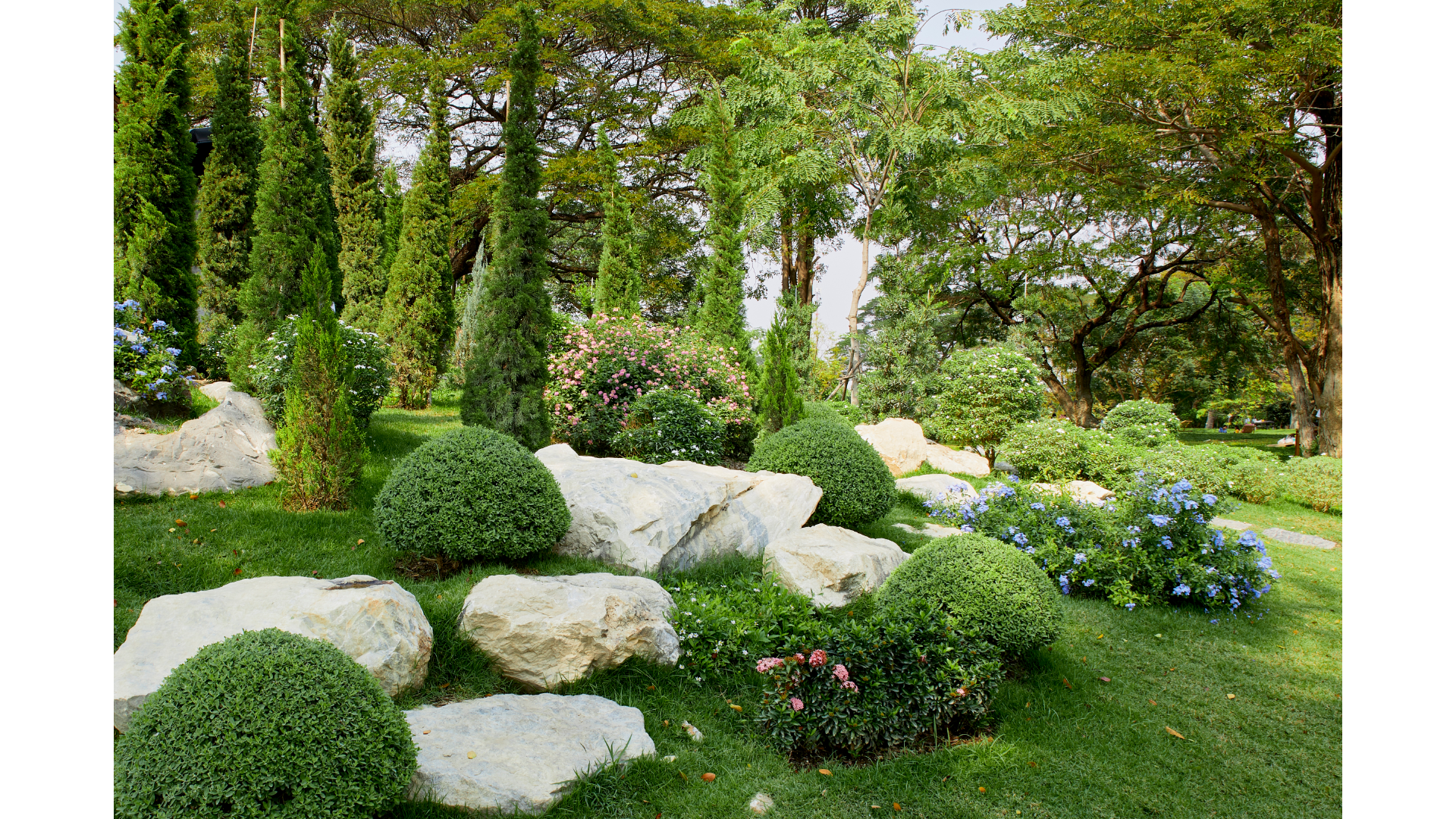 backyard landscape design